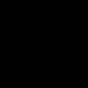 Meet your Posher, Kat